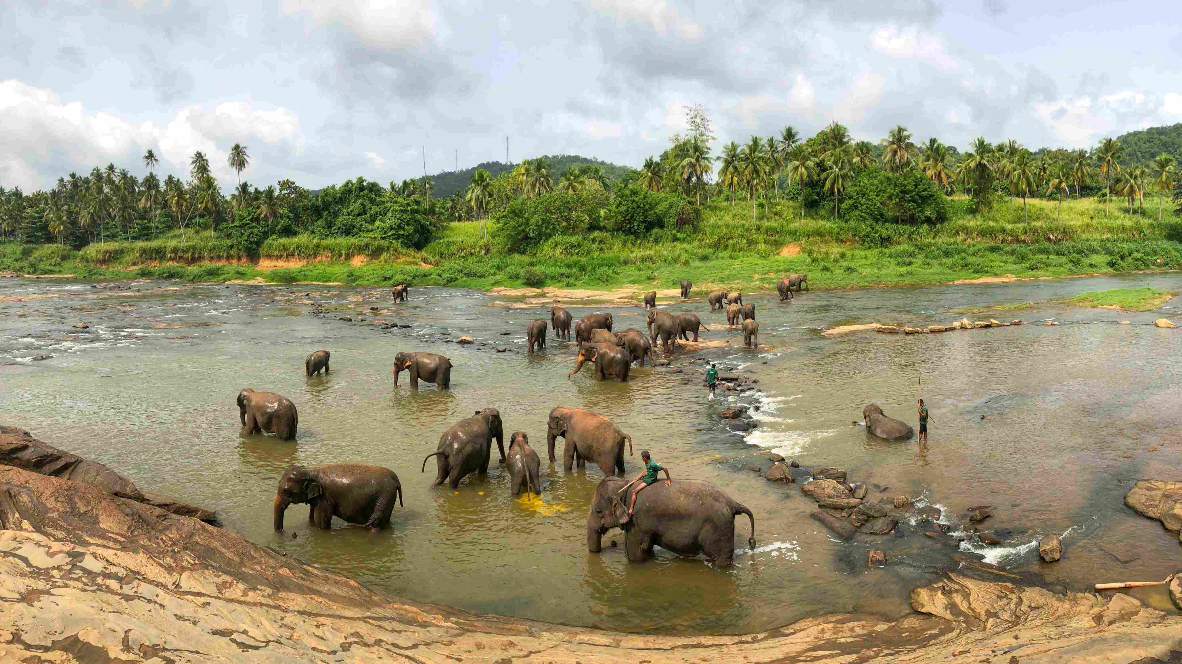 Voyage en Famille au Sri Lanka