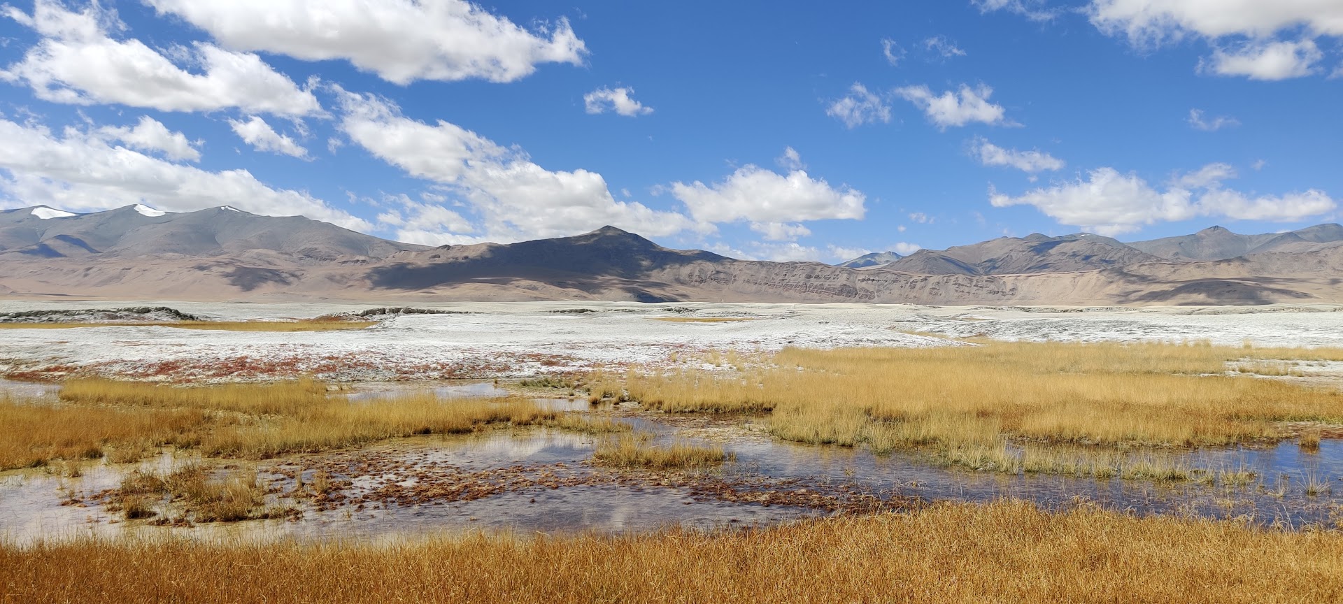 tsokar-ladakh-india
