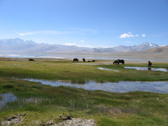 la-trans-himalayenne-de-dharamsala-au-petit-tibet
